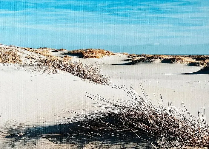 Casa Do Mar - Reconnect - T2 Com Patio Junto A *